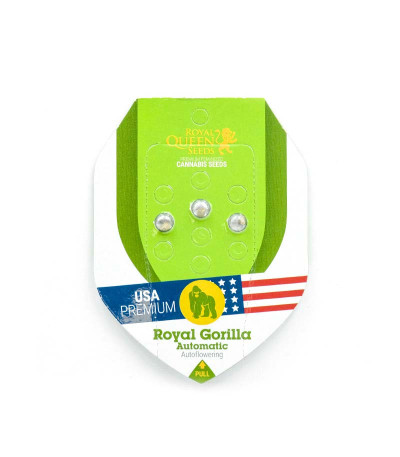 Сорт конопли Royal Gorilla Automatic fem (Royal Queen Seeds)