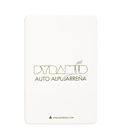 Семена сорта Auto Alpujarrena fem (Pyramid Seeds)