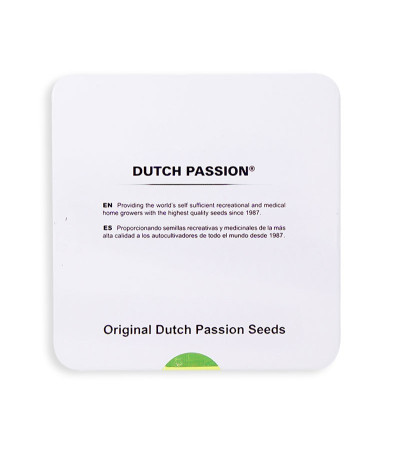 Семена сорта Californian Orange fem (Dutch Passion)