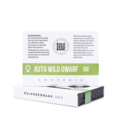 Семена сорта Auto Wild Dwarf fem