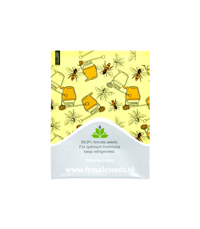 Семена марихуаны Easy Sativa в оригинальной упаковке