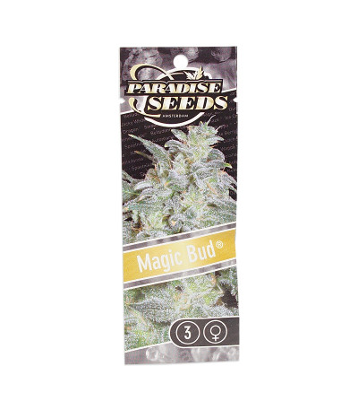 Семена сорта Magic Bud fem (Paradise Seeds)