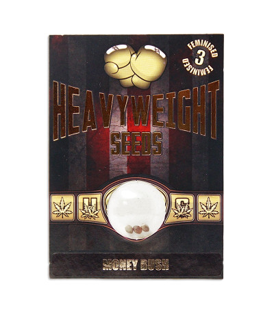 Семена сорта Money Bush fem (Heavyweight Seeds)