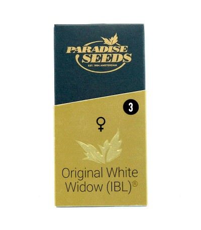 Семена сорта Original White Widow (IBL) fem