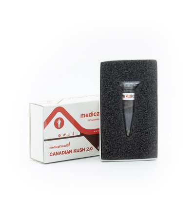 Семена сорта Canadian Kush 2.0 fem