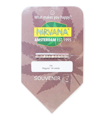 Семена сорта Ice reg (Nirvana Seeds)