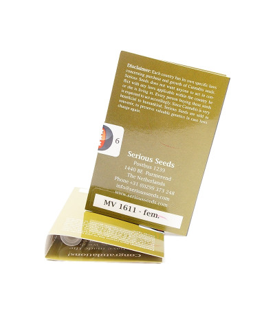 Семена сорта Motavation fem (Serious Seeds)