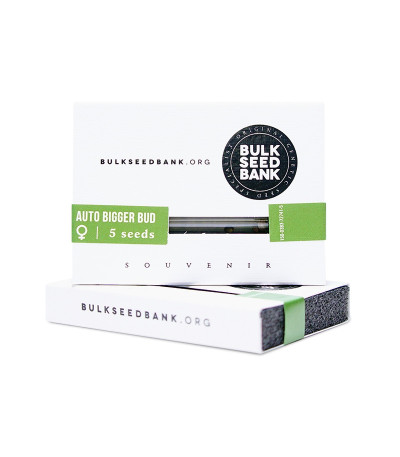 Семена сорта Auto Bigger Bud fem