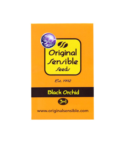 Семена сорта Black Orchid fem (Original Sensible Seeds)