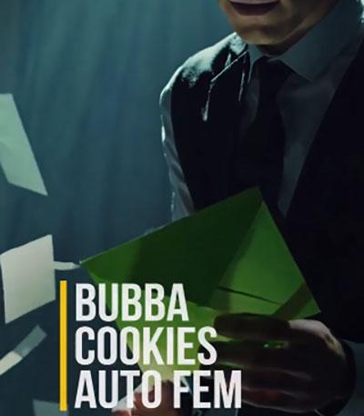 Семена сорта Bubba Cookies Auto fem (Семяныч)