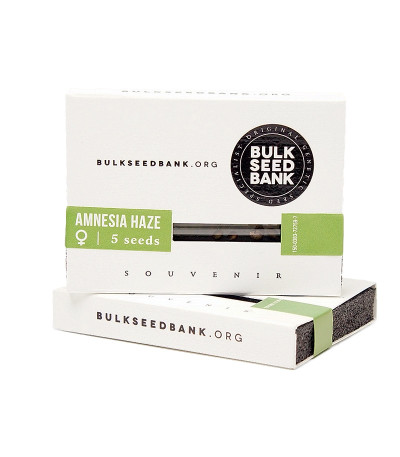Семена сорта Аmnesia Haze fem (Bulk Seed Bank)