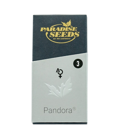 Семена сорта Pandora Auto fem (Paradise Seeds)