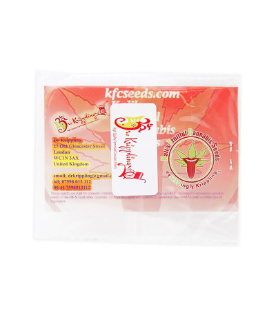 Семена сорта Jack Mist Tree fem (KFC Seeds)