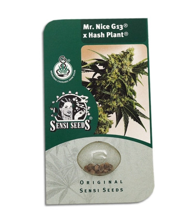 Семена сорта Mr Nice G13 X Hash Plant reg (Sensi Seeds)