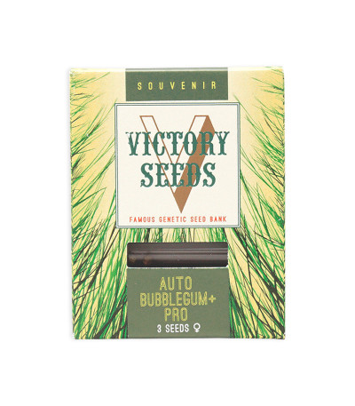 Семена сорта Auto Bubblegum+ Pro fem (Victory Seeds)