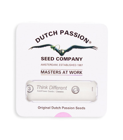 Семена сорта Think Different Auto fem (Dutch Passion)