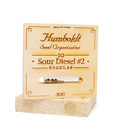 Семена Sour Diesel 2 reg в оригинальной упаковке