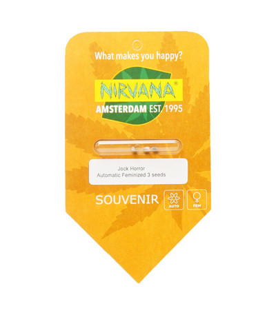 Семена сорта Jock Horror Automatic fem (Nirvana Seeds)