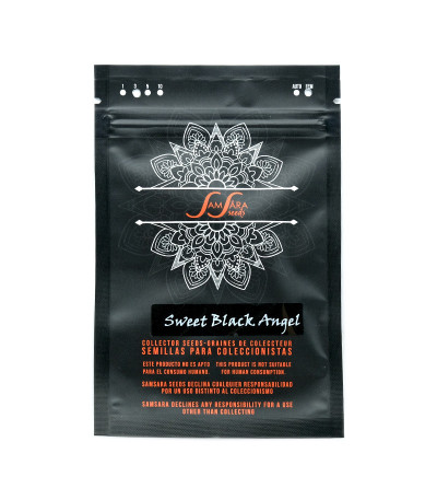 Семена сорта Sweet Black Angel fem (Samsara Seeds)