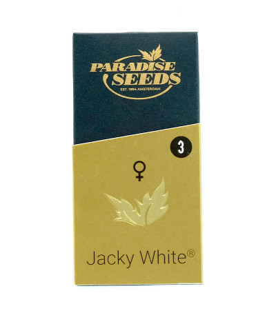 Семена сорта Jacky White fem (Paradise Seeds)