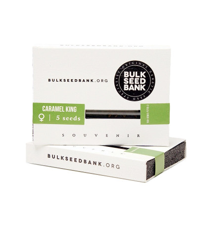 Семена сорта Caramel King fem