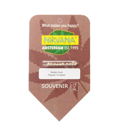 Семена сорта Master Kush reg (Nirvana Seeds)