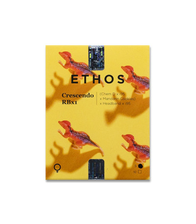 Семена сорта Crescendo RBX1 fem (Ethos Genetics)