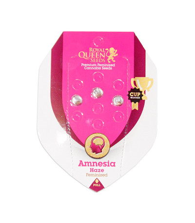 Семена сорта Amnesia Haze fem (Royal Queen Seeds)