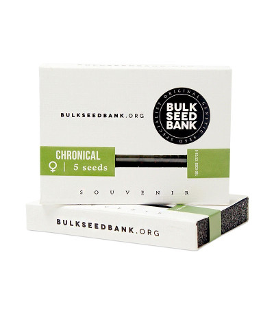 Семена марихуаны Chronical в оригинальной упаковке