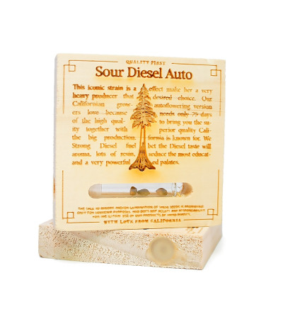 Семена сорта Sour Diesel Auto fem (Humboldt Seeds)