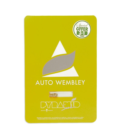 Семена сорта Auto Wembley fem (Pyramid Seeds)