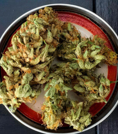 Семена сорта Ghost Chem OG Autoflower fem (Seedkeepers)