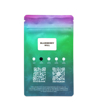 Семена сорта Blueberry Hill fem (Herbies Seeds)