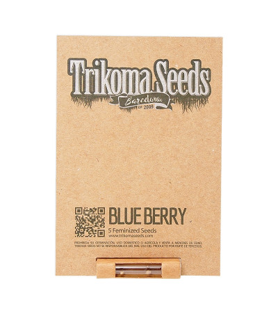 Семена сорта Blueberry fem (Trikoma Seeds)