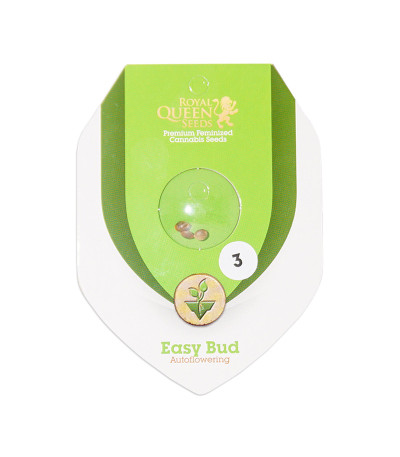 Семена сорта Easy Bud Auto fem (Royal Queen Seeds)