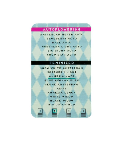 Семена конопли сорта Amnesia Haze