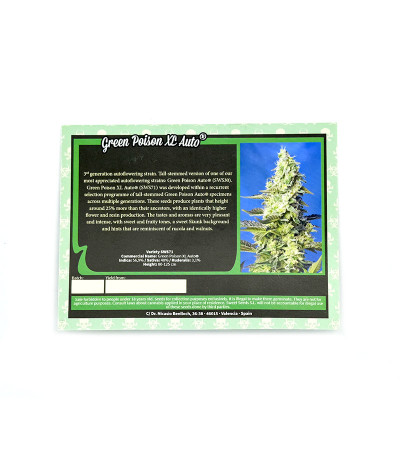 Семена сорта Green Poison XL Auto fem (Sweet Seeds)
