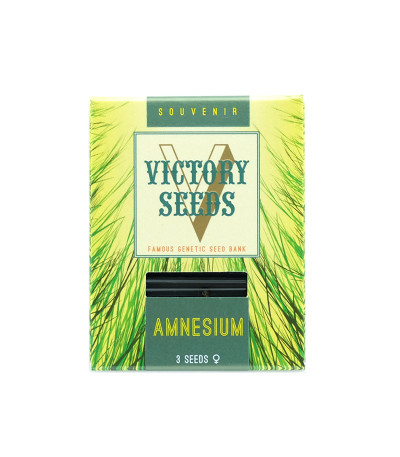 Семена сорта Amnesium fem (Victory Seeds)