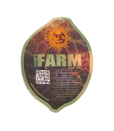 Семена марихуаны NYC Diesel Auto в оригинальной упаковке