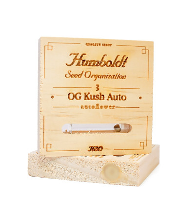 Семена сорта OG Kush Auto fem (Humboldt Seeds)