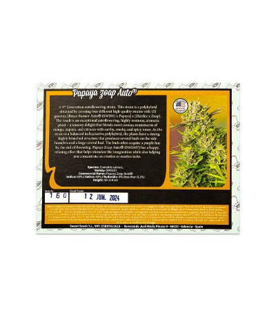 Семена сорта Papaya Zoap Auto fem (Sweet Seeds)