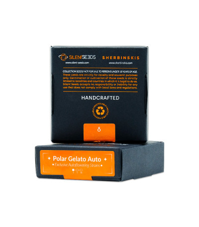 Семена сорта Polar Gelato Auto fem (Silent Seeds)