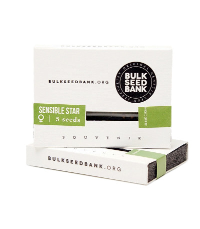 Семена сорта Sensible Star fem