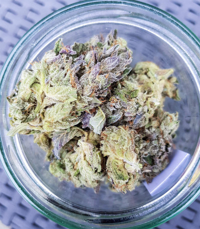 Семена сорта Triple G fem (Royal Queen Seeds)