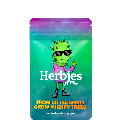 Семена сорта Grandmommy Purple fem (Herbies Seeds)