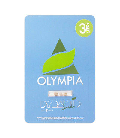 Семена сорта Olympia fem (Pyramid Seeds)