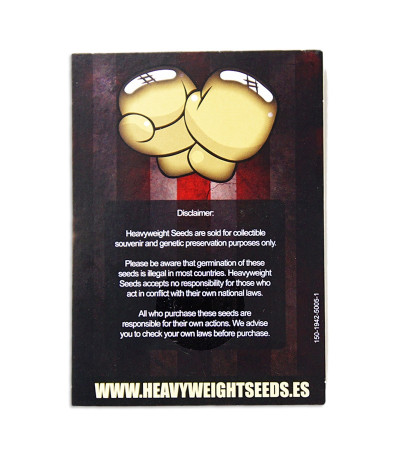 Семена сорта Budzilla fem (Heavyweight Seeds)