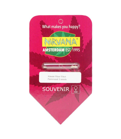 Семена сорта Hawaii Maui Waui fem (Nirvana Seeds)