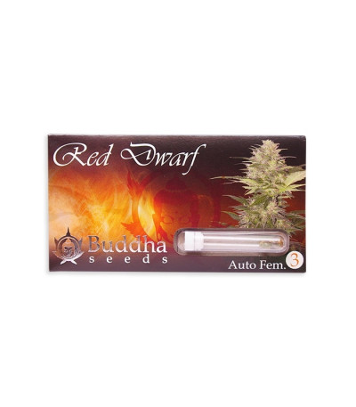 Семена сорта Red Dwarf auto fem