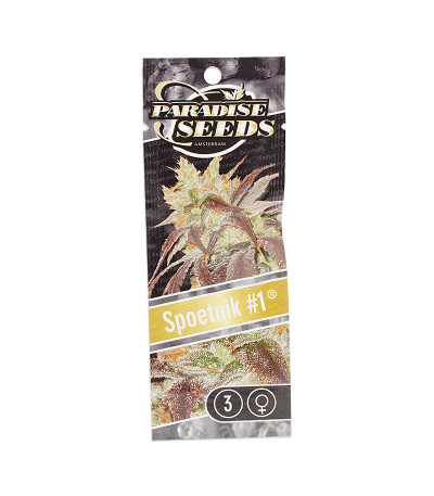 Семена сорта Spoetnik #1 fem (Paradise Seeds)